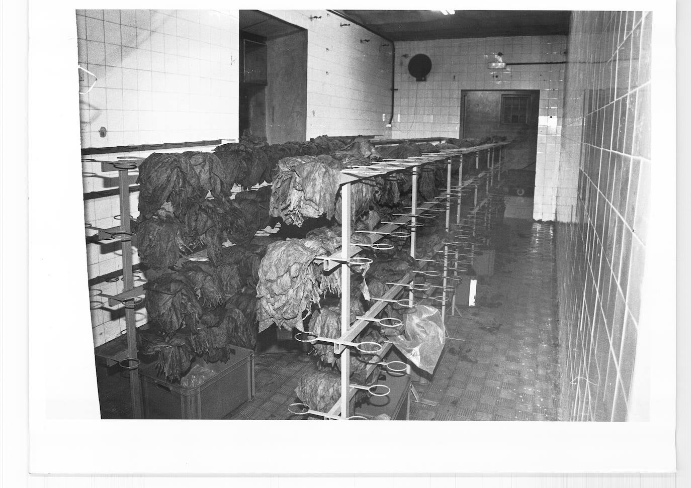 El histórico edificio de Tabacalera en Gijón, de 6.900 metros cuadrados y cinco plantas, será recuperado para usos culturales. Será una nueva etapa para un emblemático inmueble que fue también iglesia y vicaría.