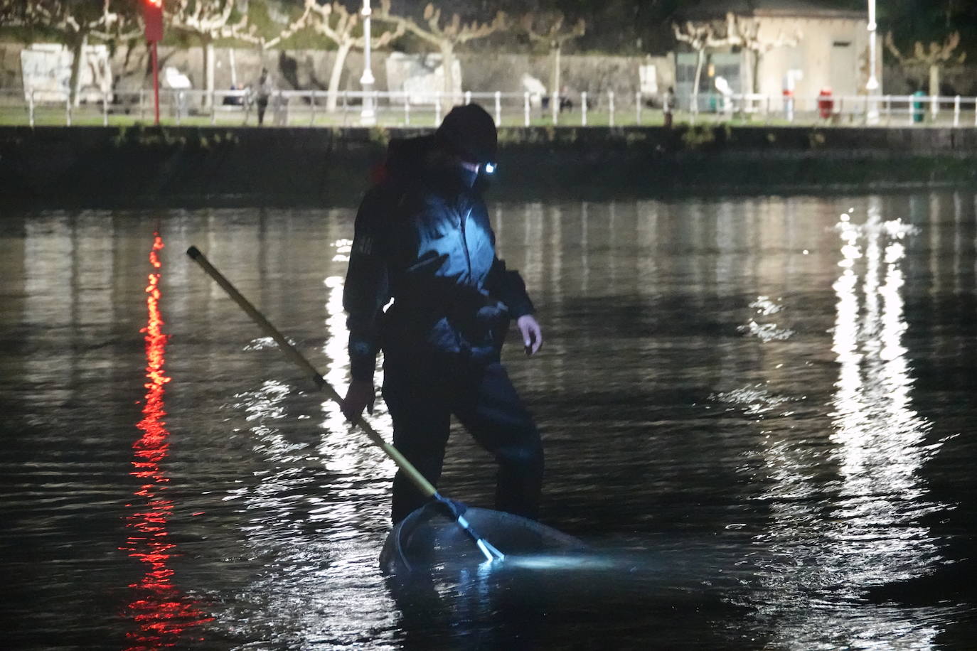 Este domingo dio comienzo la campaña de angula en Ribadesella. En el sector hay mucha preocupación por los bajos precios que puede alcanzar ante las continuas amenazas de confinamiento y la situación de la hostelería.