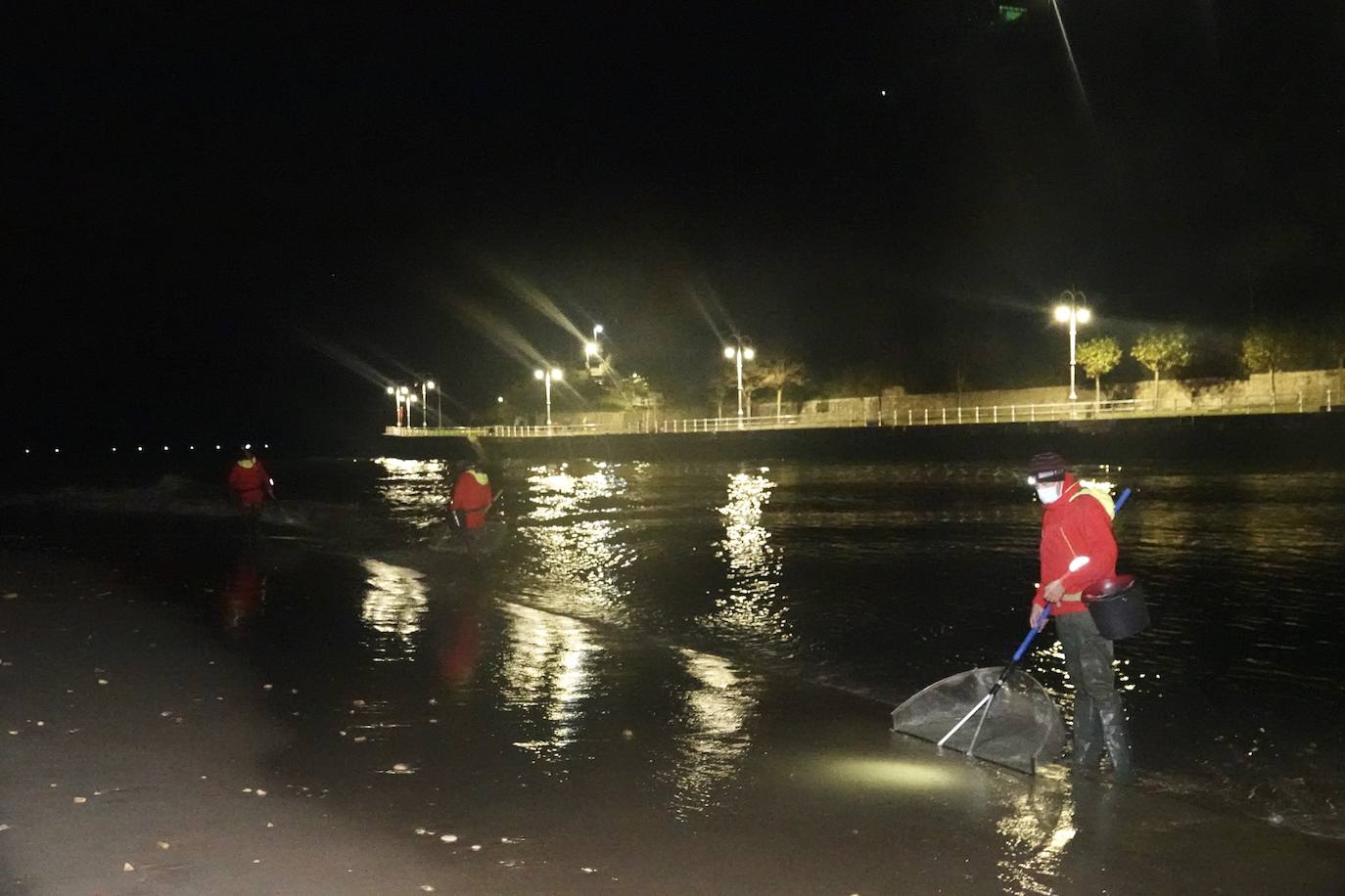 Este domingo dio comienzo la campaña de angula en Ribadesella. En el sector hay mucha preocupación por los bajos precios que puede alcanzar ante las continuas amenazas de confinamiento y la situación de la hostelería.