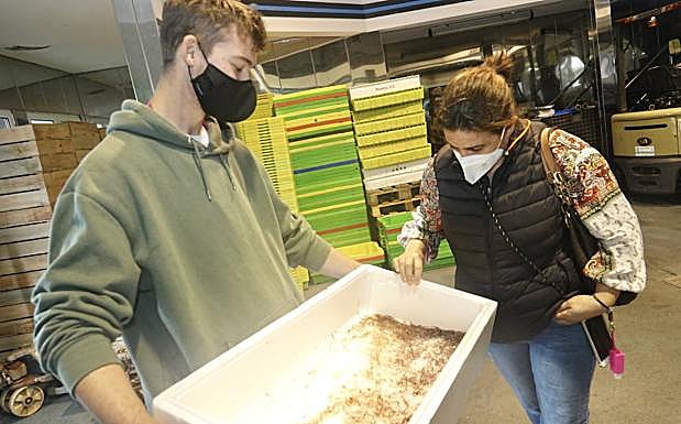 Ribadesella vende su primera angula a 1.200 euros el kilo