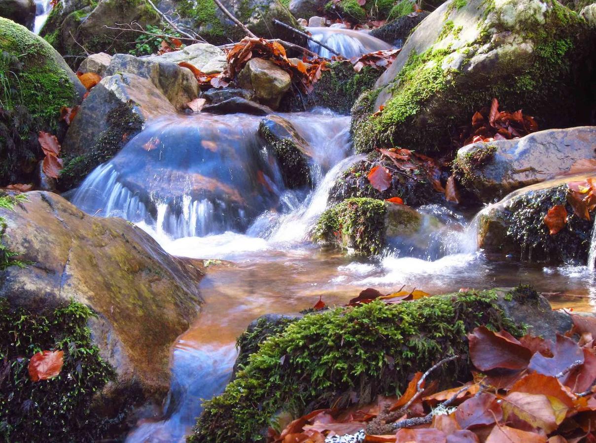 Fotos: Paseo otoñal hasta los corros de la Braña de las Cadenas