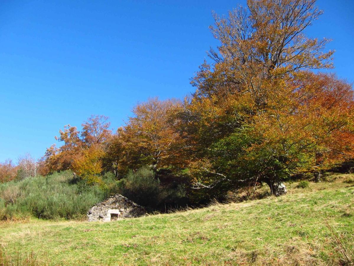 Fotos: Paseo otoñal hasta los corros de la Braña de las Cadenas