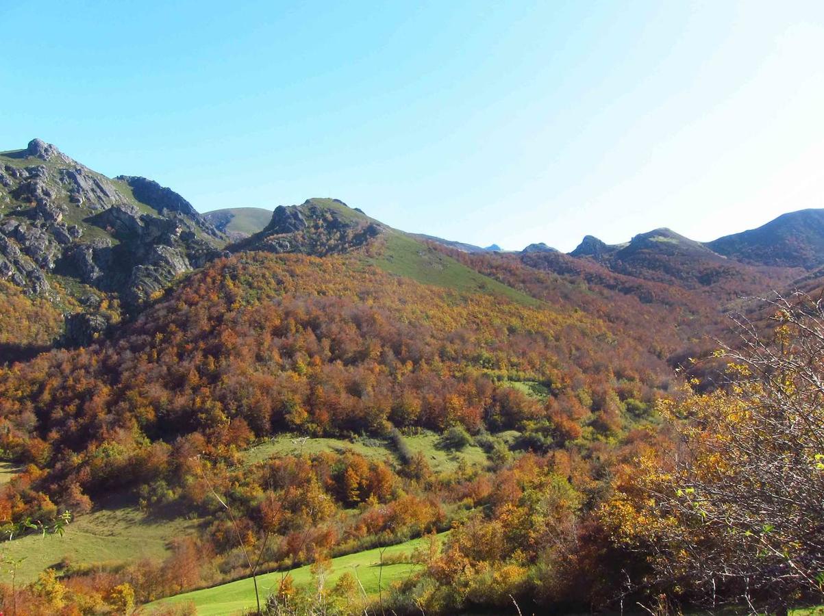 Fotos: Paseo otoñal hasta los corros de la Braña de las Cadenas