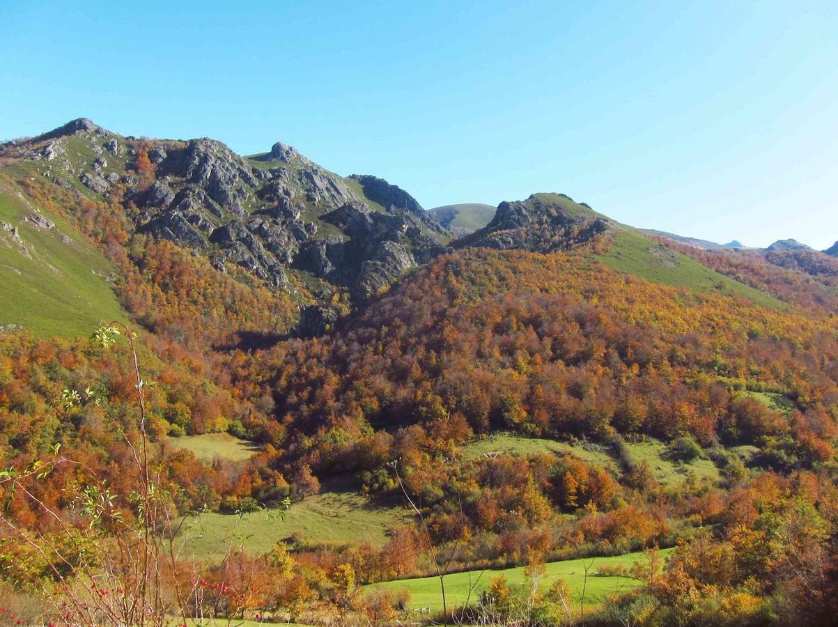 Fotos: Paseo otoñal hasta los corros de la Braña de las Cadenas