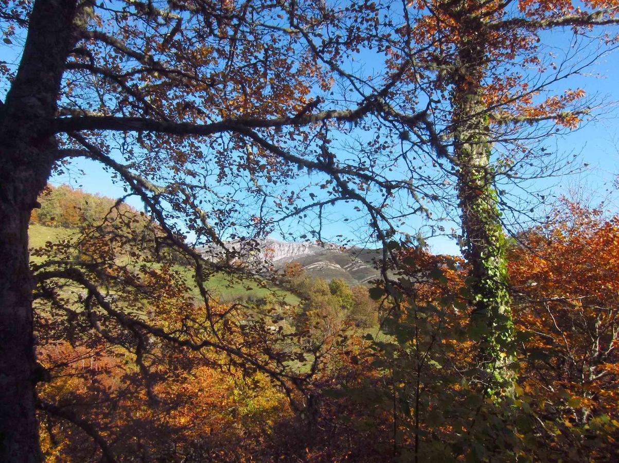 Fotos: Paseo otoñal hasta los corros de la Braña de las Cadenas