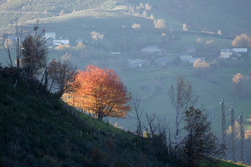 La sierra de Os Ancares, al este de la provincia de Lugo, en la frontera con las comunidades de Asturias y Castilla y León, se distribuye a lo largo de más de 50.000 hectáreas. Con una infinita red de senderos cruza profundos valles y asciende hasta cumbres de 2.000 metros de altura. En otoño el manto vegetal adquiere tonos rojizos. En invierno, esta zona permanece cubierta por la nieve, algo que cambia con la llegada de la primavera, cuando las aguas del deshielo fluyen desde las cumbres hasta las zonas bajas, formando numerosos riachuelos y pequeñas cascadas. 