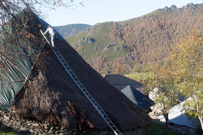 La sierra de Os Ancares, al este de la provincia de Lugo, en la frontera con las comunidades de Asturias y Castilla y León, se distribuye a lo largo de más de 50.000 hectáreas. Con una infinita red de senderos cruza profundos valles y asciende hasta cumbres de 2.000 metros de altura. En otoño el manto vegetal adquiere tonos rojizos. En invierno, esta zona permanece cubierta por la nieve, algo que cambia con la llegada de la primavera, cuando las aguas del deshielo fluyen desde las cumbres hasta las zonas bajas, formando numerosos riachuelos y pequeñas cascadas. 