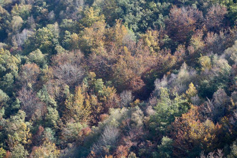 La sierra de Os Ancares, al este de la provincia de Lugo, en la frontera con las comunidades de Asturias y Castilla y León, se distribuye a lo largo de más de 50.000 hectáreas. Con una infinita red de senderos cruza profundos valles y asciende hasta cumbres de 2.000 metros de altura. En otoño el manto vegetal adquiere tonos rojizos. En invierno, esta zona permanece cubierta por la nieve, algo que cambia con la llegada de la primavera, cuando las aguas del deshielo fluyen desde las cumbres hasta las zonas bajas, formando numerosos riachuelos y pequeñas cascadas. 