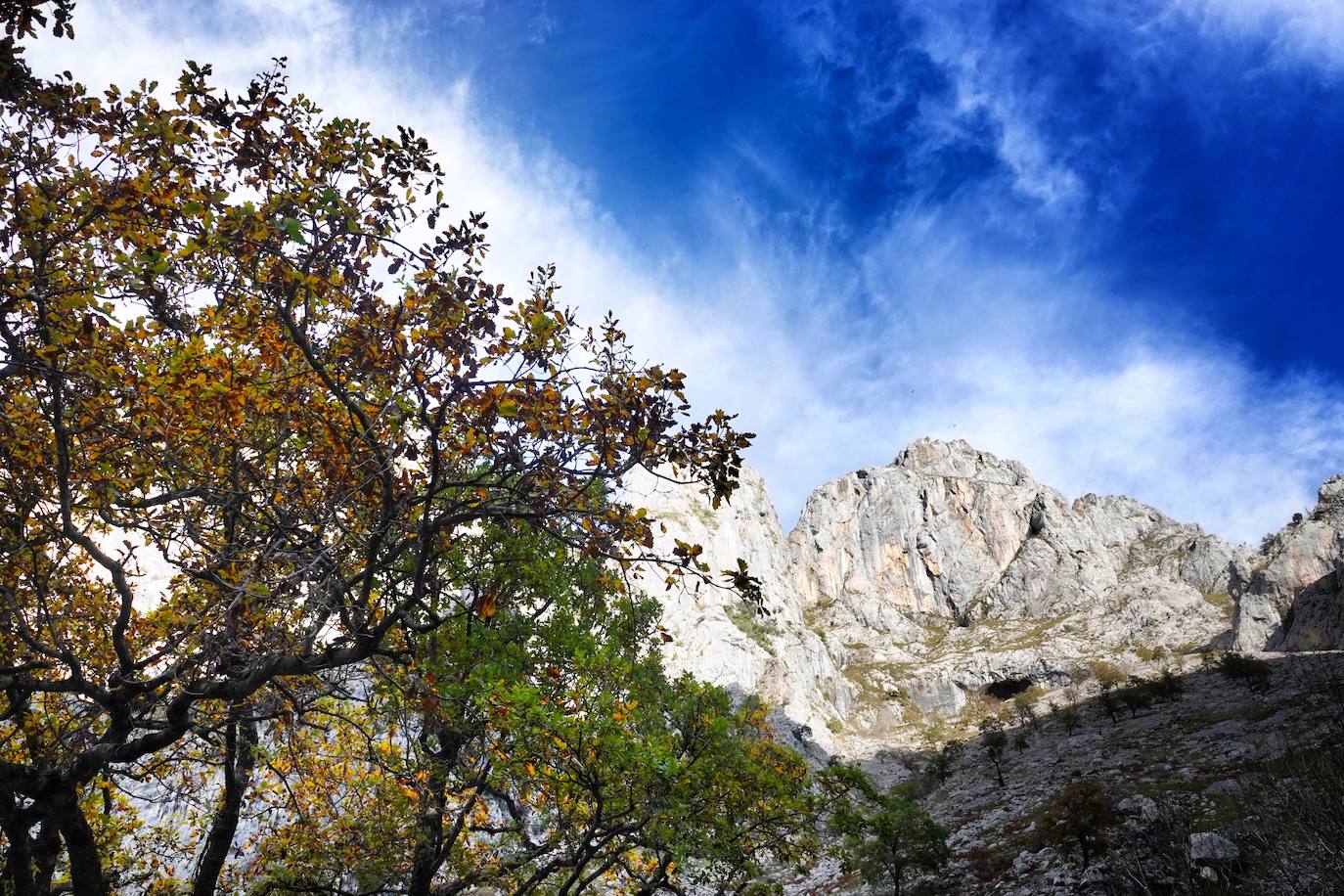 Los colores del otoño, e incluso el blanco de la nieve, ya han teñido los rincones de los Picos de Europa, uno de los lugares más imponentes de Asturias. En este espacio encontraremos las cumbres más altas de la Cordillera Cantábrica como la más emblemática: el Picu Urriellu o Naranjo de Bulnes con sus 2.519 metros de altitud. Un total de 67.127 hectáreas que conforman una de las mejores reservas mundiales de los ecosistemas ligados al bosque atlántico.