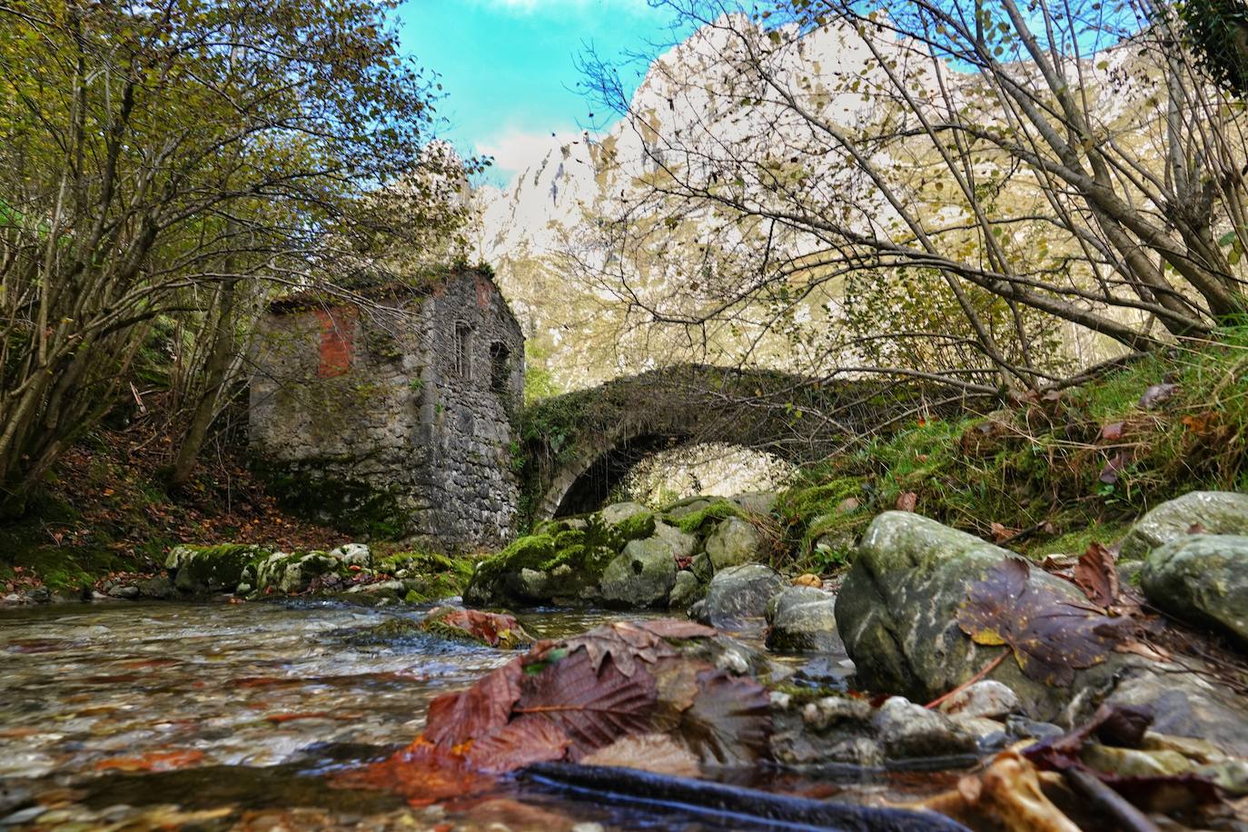 Los colores del otoño, e incluso el blanco de la nieve, ya han teñido los rincones de los Picos de Europa, uno de los lugares más imponentes de Asturias. En este espacio encontraremos las cumbres más altas de la Cordillera Cantábrica como la más emblemática: el Picu Urriellu o Naranjo de Bulnes con sus 2.519 metros de altitud. Un total de 67.127 hectáreas que conforman una de las mejores reservas mundiales de los ecosistemas ligados al bosque atlántico.