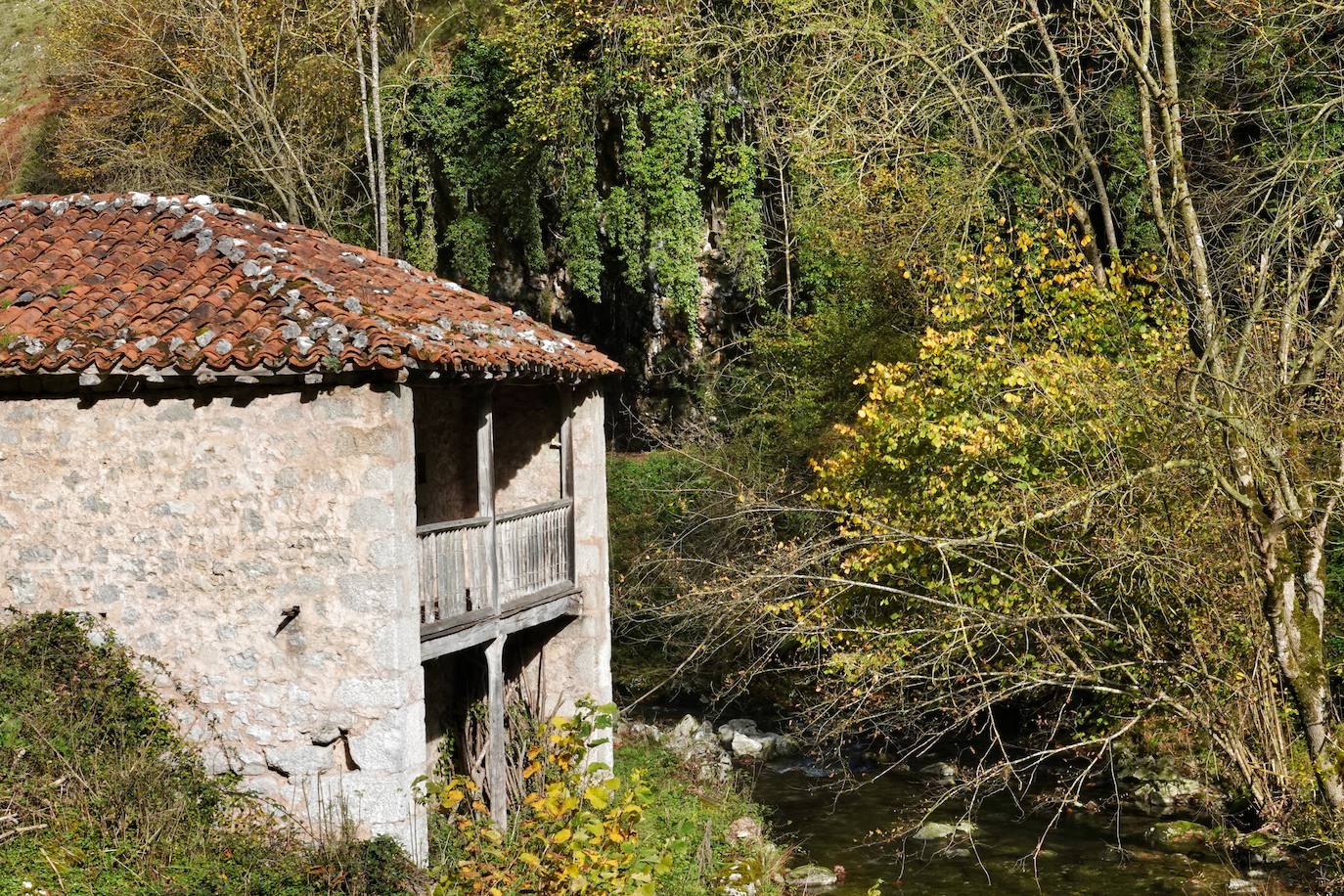 Los colores del otoño, e incluso el blanco de la nieve, ya han teñido los rincones de los Picos de Europa, uno de los lugares más imponentes de Asturias. En este espacio encontraremos las cumbres más altas de la Cordillera Cantábrica como la más emblemática: el Picu Urriellu o Naranjo de Bulnes con sus 2.519 metros de altitud. Un total de 67.127 hectáreas que conforman una de las mejores reservas mundiales de los ecosistemas ligados al bosque atlántico.