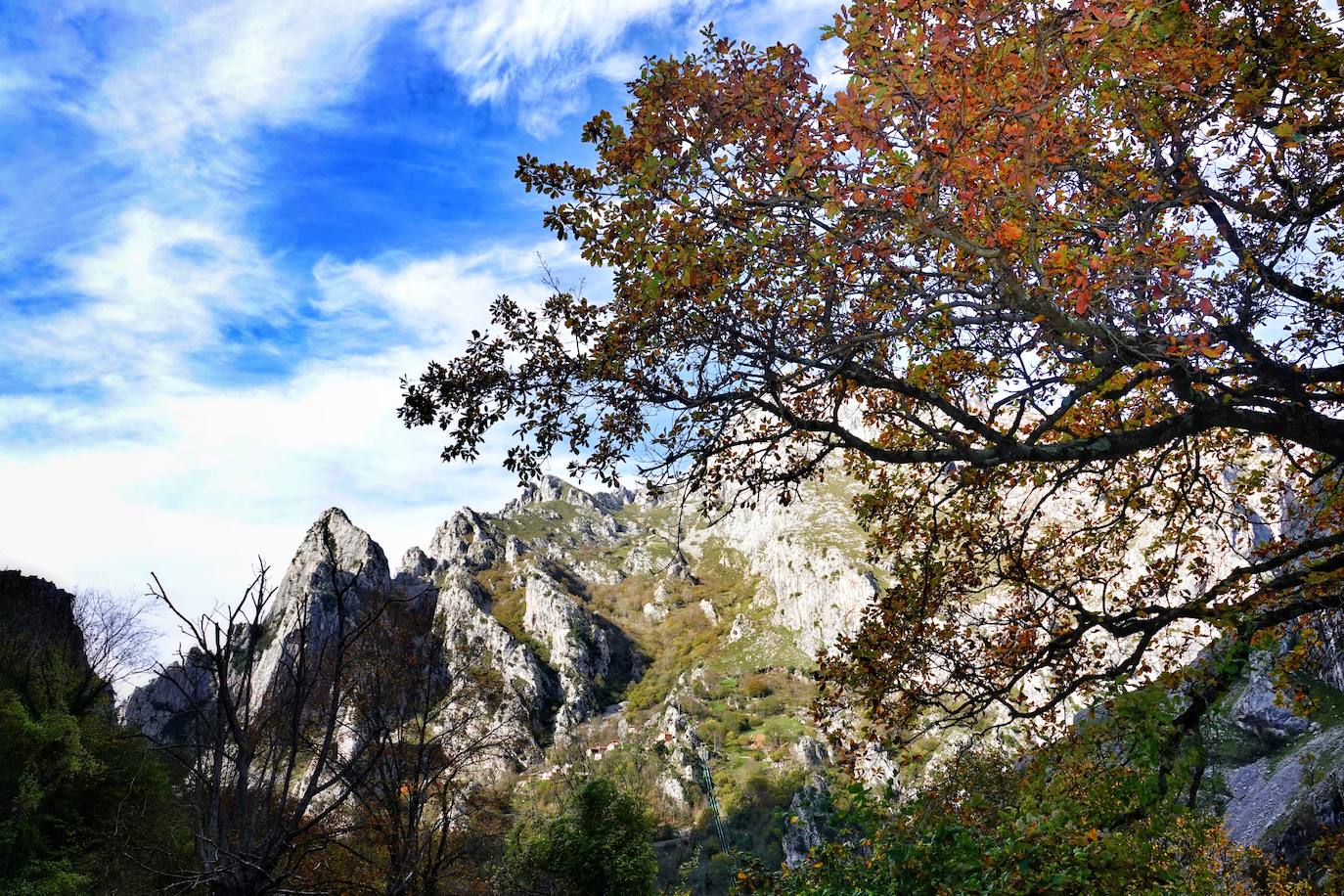 Los colores del otoño, e incluso el blanco de la nieve, ya han teñido los rincones de los Picos de Europa, uno de los lugares más imponentes de Asturias. En este espacio encontraremos las cumbres más altas de la Cordillera Cantábrica como la más emblemática: el Picu Urriellu o Naranjo de Bulnes con sus 2.519 metros de altitud. Un total de 67.127 hectáreas que conforman una de las mejores reservas mundiales de los ecosistemas ligados al bosque atlántico.