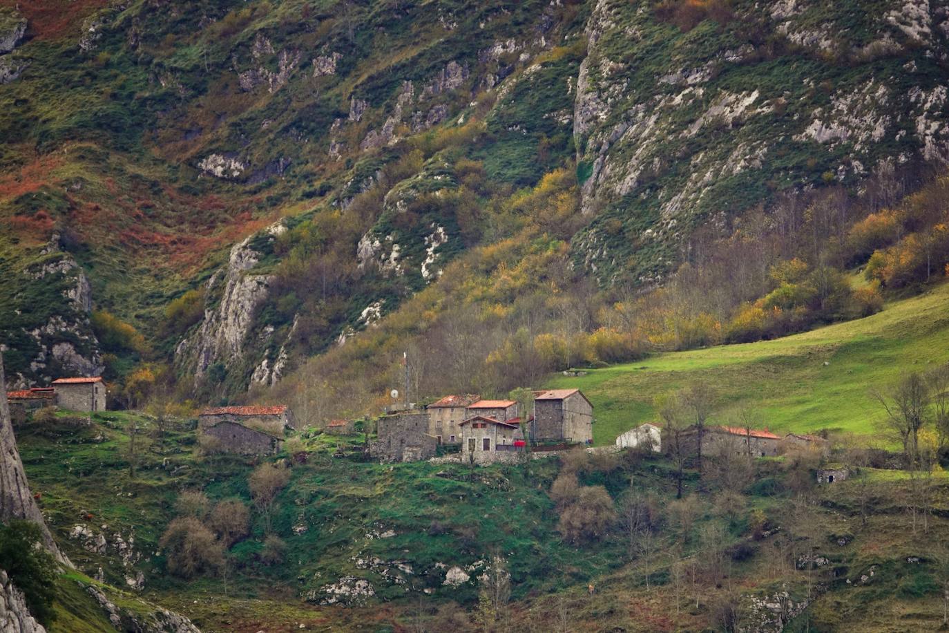 Los colores del otoño, e incluso el blanco de la nieve, ya han teñido los rincones de los Picos de Europa, uno de los lugares más imponentes de Asturias. En este espacio encontraremos las cumbres más altas de la Cordillera Cantábrica como la más emblemática: el Picu Urriellu o Naranjo de Bulnes con sus 2.519 metros de altitud. Un total de 67.127 hectáreas que conforman una de las mejores reservas mundiales de los ecosistemas ligados al bosque atlántico.