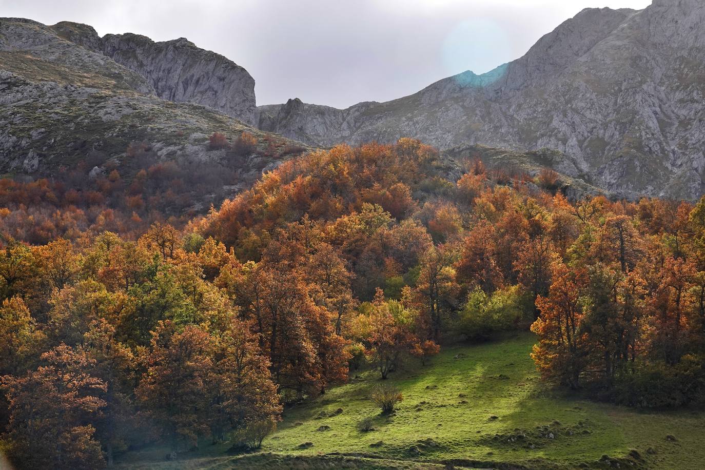 Los colores del otoño, e incluso el blanco de la nieve, ya han teñido los rincones de los Picos de Europa, uno de los lugares más imponentes de Asturias. En este espacio encontraremos las cumbres más altas de la Cordillera Cantábrica como la más emblemática: el Picu Urriellu o Naranjo de Bulnes con sus 2.519 metros de altitud. Un total de 67.127 hectáreas que conforman una de las mejores reservas mundiales de los ecosistemas ligados al bosque atlántico.