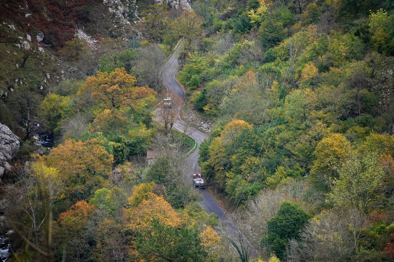 Los colores del otoño, e incluso el blanco de la nieve, ya han teñido los rincones de los Picos de Europa, uno de los lugares más imponentes de Asturias. En este espacio encontraremos las cumbres más altas de la Cordillera Cantábrica como la más emblemática: el Picu Urriellu o Naranjo de Bulnes con sus 2.519 metros de altitud. Un total de 67.127 hectáreas que conforman una de las mejores reservas mundiales de los ecosistemas ligados al bosque atlántico.