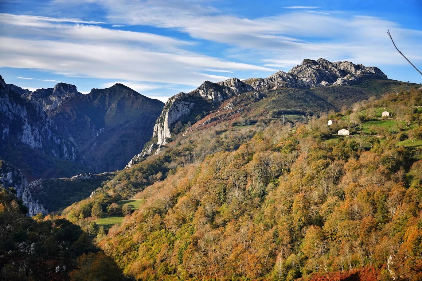 Los colores del otoño, e incluso el blanco de la nieve, ya han teñido los rincones de los Picos de Europa, uno de los lugares más imponentes de Asturias. En este espacio encontraremos las cumbres más altas de la Cordillera Cantábrica como la más emblemática: el Picu Urriellu o Naranjo de Bulnes con sus 2.519 metros de altitud. Un total de 67.127 hectáreas que conforman una de las mejores reservas mundiales de los ecosistemas ligados al bosque atlántico.