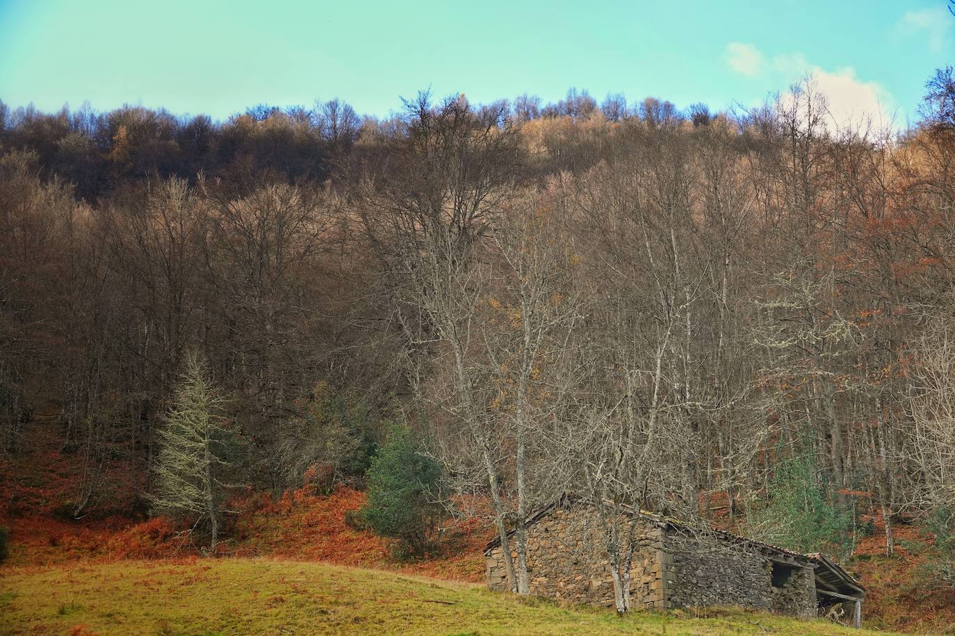 Los colores del otoño, e incluso el blanco de la nieve, ya han teñido los rincones de los Picos de Europa, uno de los lugares más imponentes de Asturias. En este espacio encontraremos las cumbres más altas de la Cordillera Cantábrica como la más emblemática: el Picu Urriellu o Naranjo de Bulnes con sus 2.519 metros de altitud. Un total de 67.127 hectáreas que conforman una de las mejores reservas mundiales de los ecosistemas ligados al bosque atlántico.