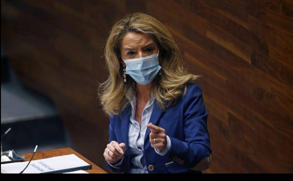 Mallada: «Con la ley Celaá el PSOE se sitúa fuera de la Constitución»