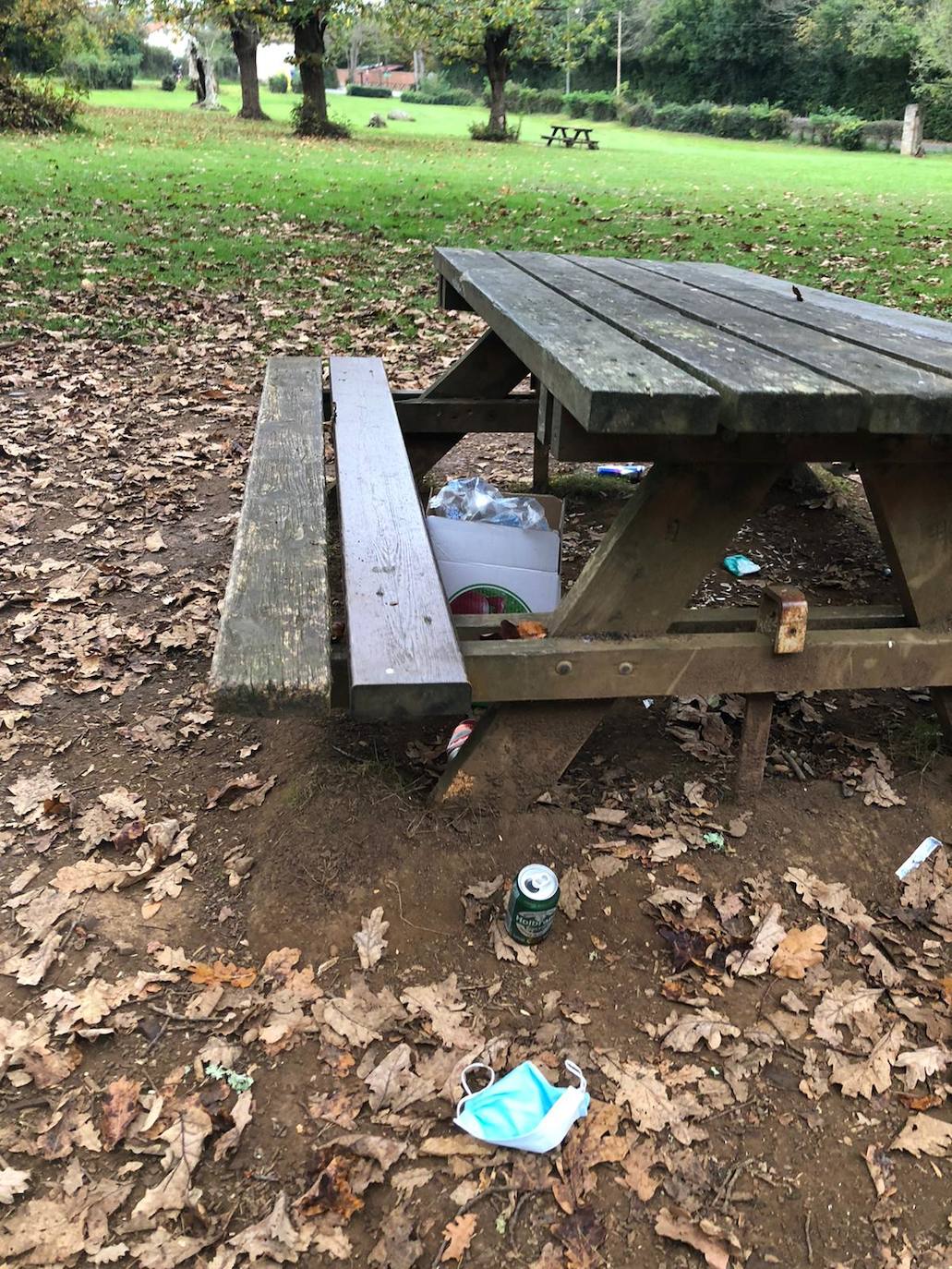 Los espacios verdes de la zona rural estuvieron ayer llenos de gente comiendo y merendando 