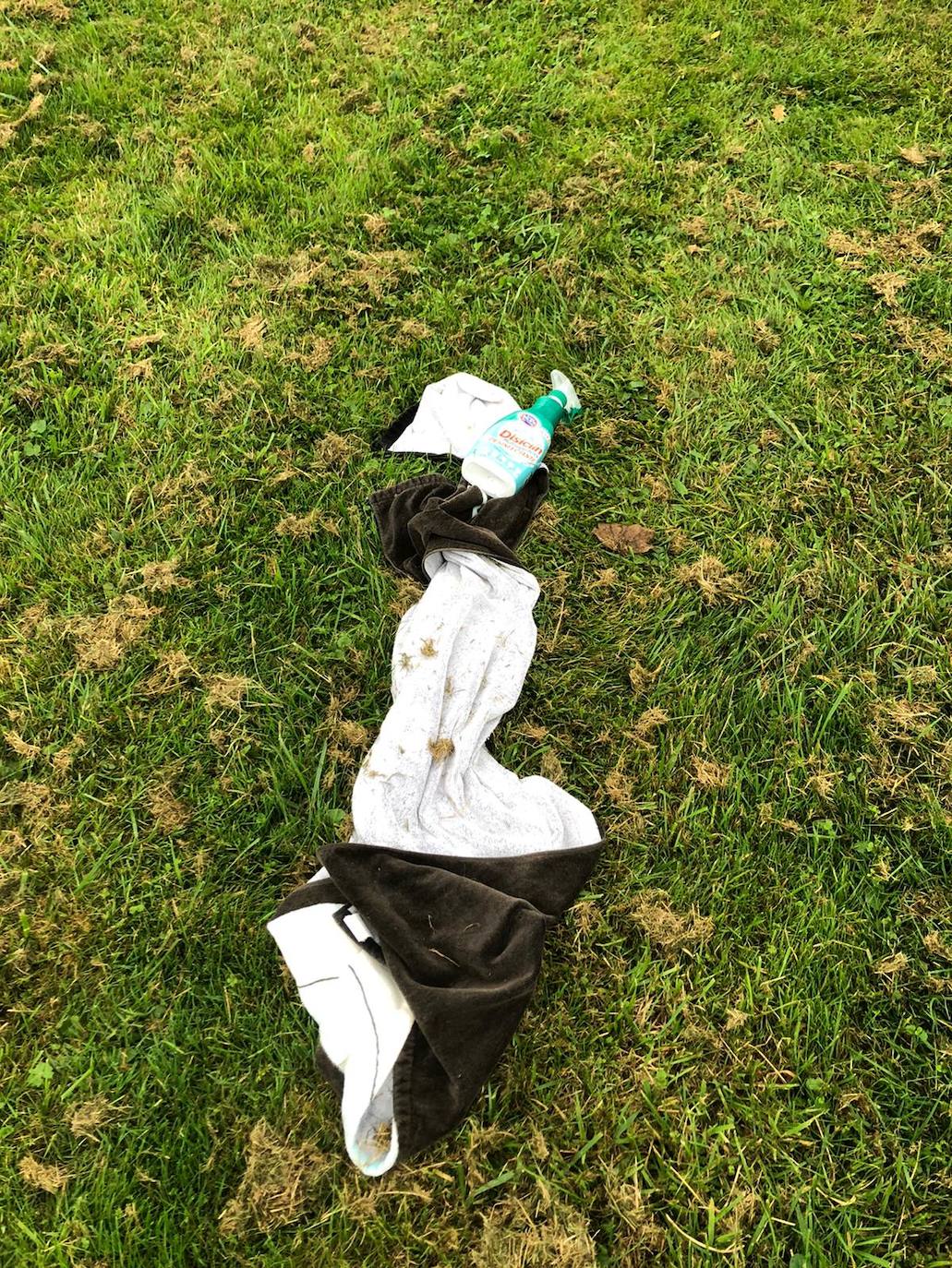 Los espacios verdes de la zona rural estuvieron ayer llenos de gente comiendo y merendando 