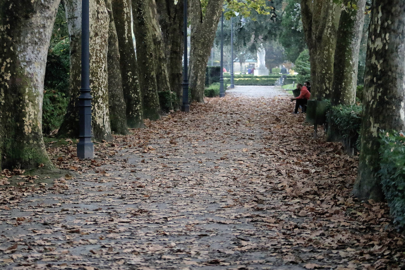 Las calles y los parques de Gijón ya están cubiertos de hojas y los árboles llevan semanas tiñéndose de ocre para dejar estampas otoñales tan bellas como estas.