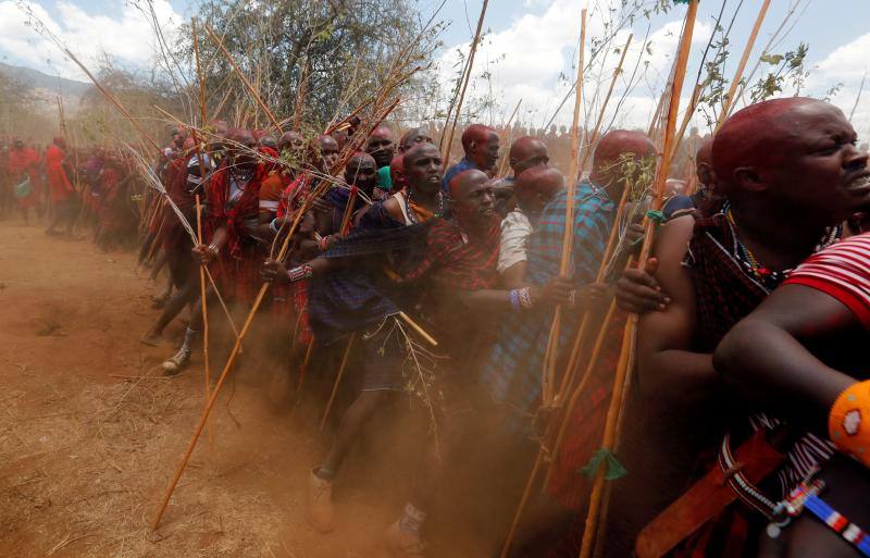 Los hombres masai de Matapato se apresuran a desfilar mientras asisten a la ceremonia de paso de Olng'esherr (comer carne) para unir dos grupos de edad, después de que el evento se pospusiera debido al coronavirus. En las colinas de Maparasha de Kajiado, Kenia, el 23 de septiembre de 2020.