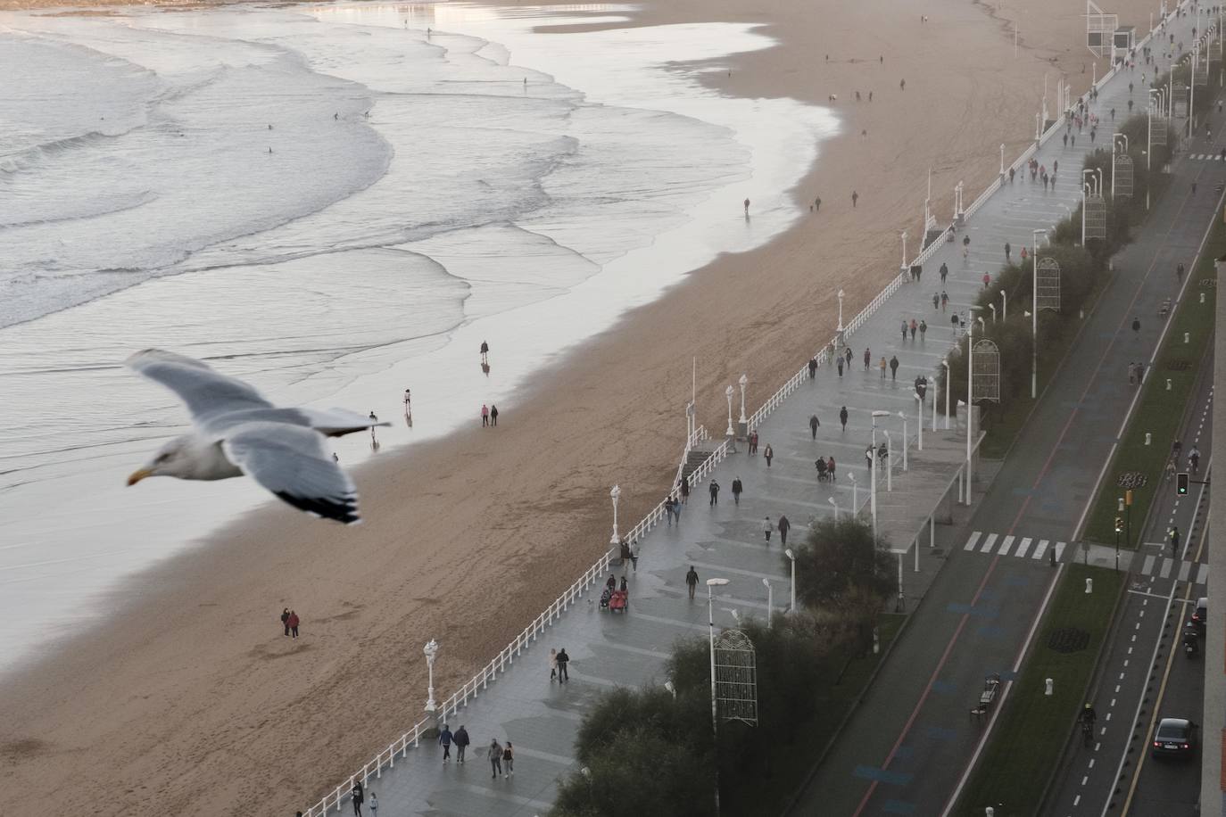 Tanto la casa como el acceso a la terraza se han acomodado para el desplazamiento en silla de ruedas.