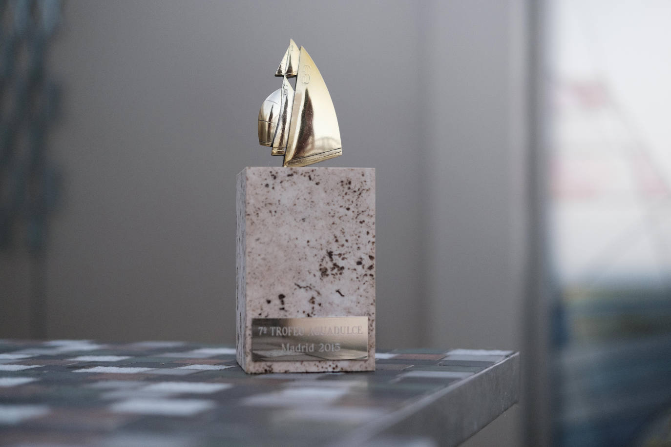 Tanto la casa como el acceso a la terraza se han acomodado para el desplazamiento en silla de ruedas.