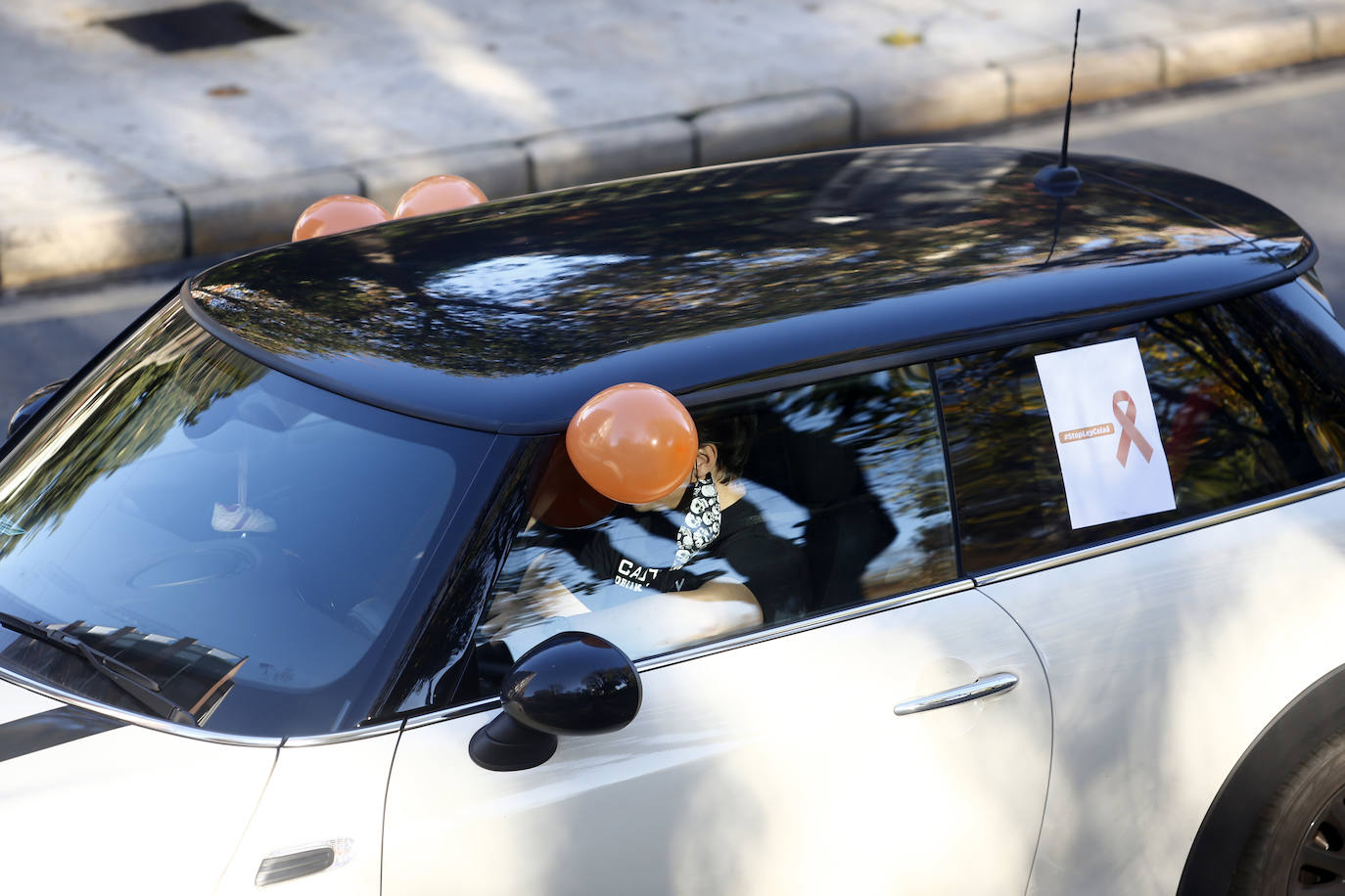 Protestan contra «el control político de la educación» y «los recortes en la libertad de enseñanza»