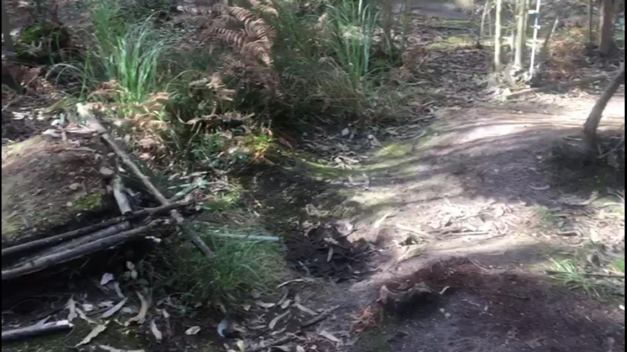 Pista en la que se produjo el accidente. La bicicleta fue encontrada en el badén y el ciclista junto al árbol. 