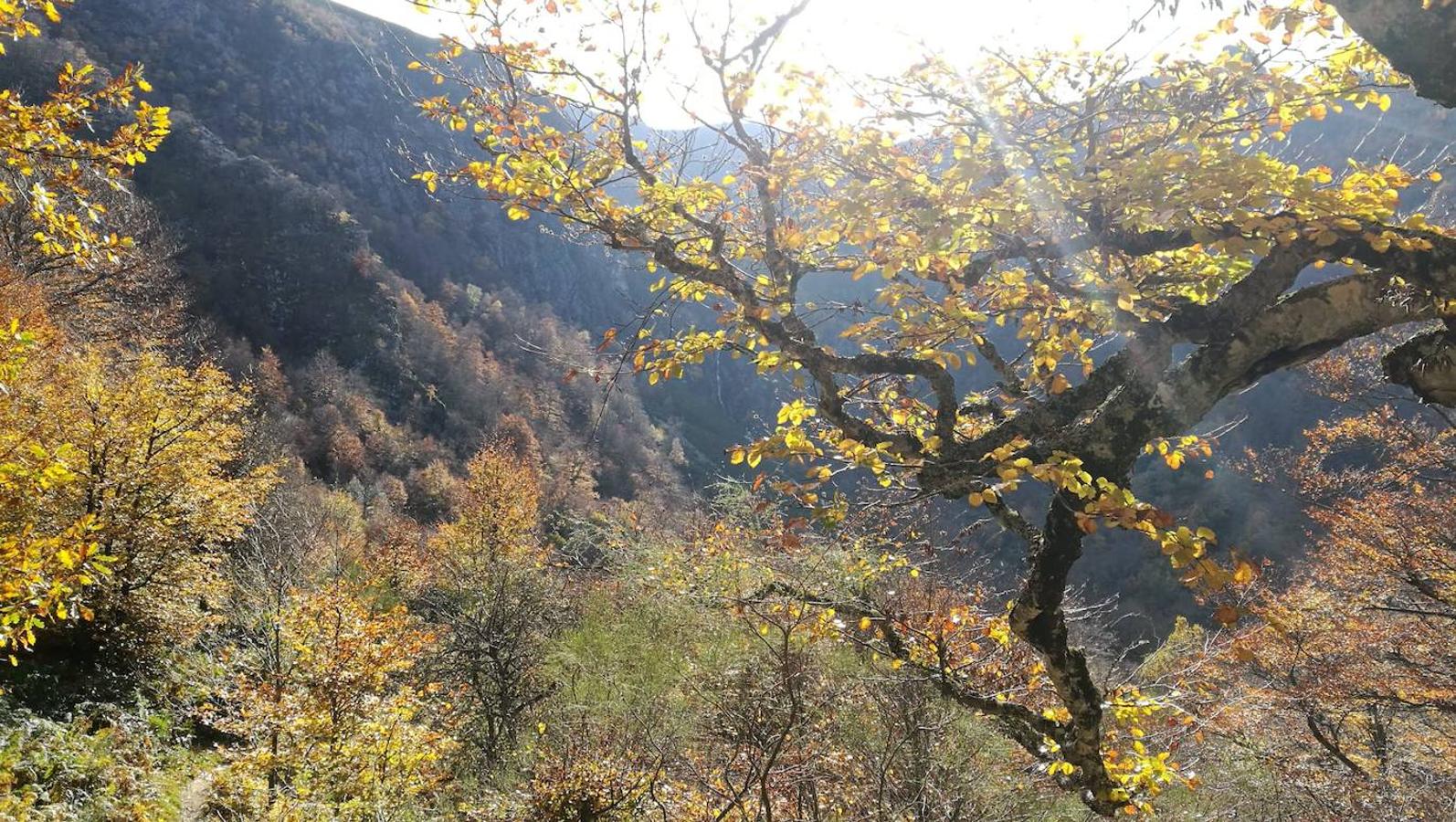 Fotos: Ruta a la Cascada del Tabayón del Mongallu