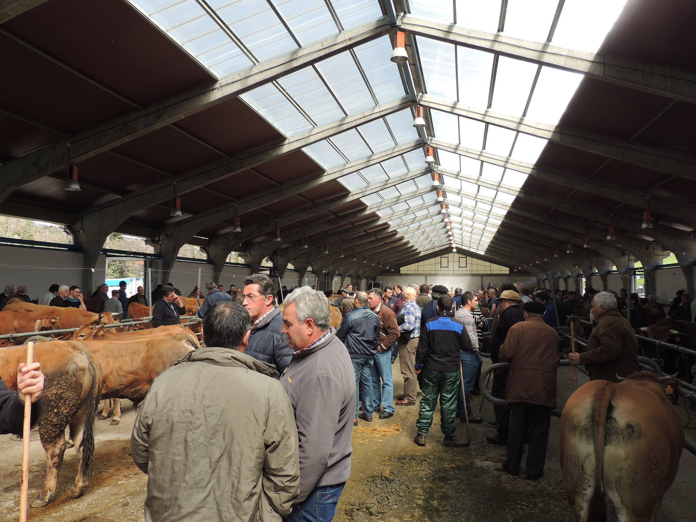 Feria del ganado en Cangas del Narcea