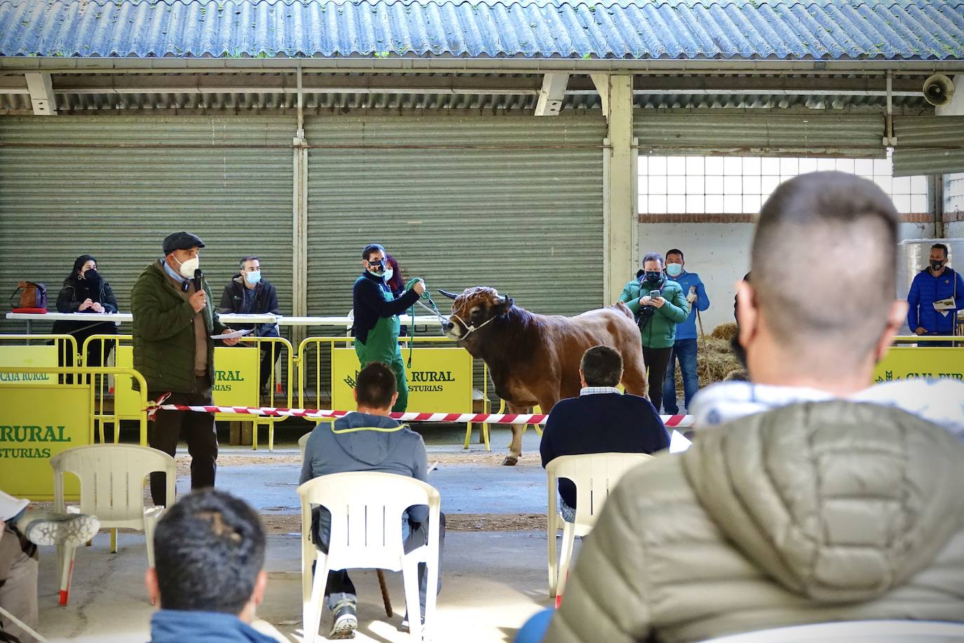 'Babiano', llegado desde León, fue el ejemplar más cotizado y finalmente se lo llevó a Llueves el ganadero cangués Máximo Sánchez por 1.950 euros