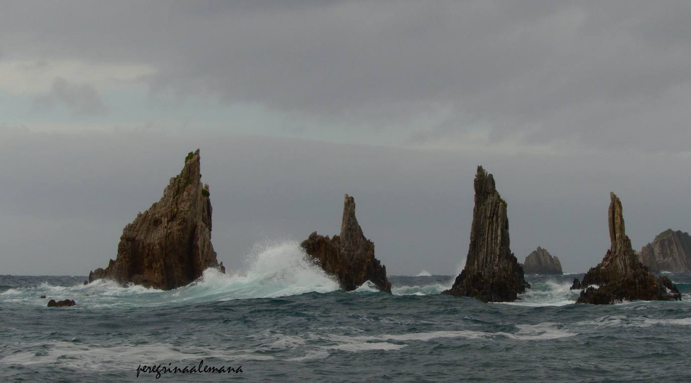 Estas cien imágenes son una selección de las fotografías captadas por los asturianos a lo largo de este año y que optaron a formar parte del calendario 'Escenas de Asturias', el concurso convocado por EL COMERCIO con el patrocinio del grupo El Gaitero. 