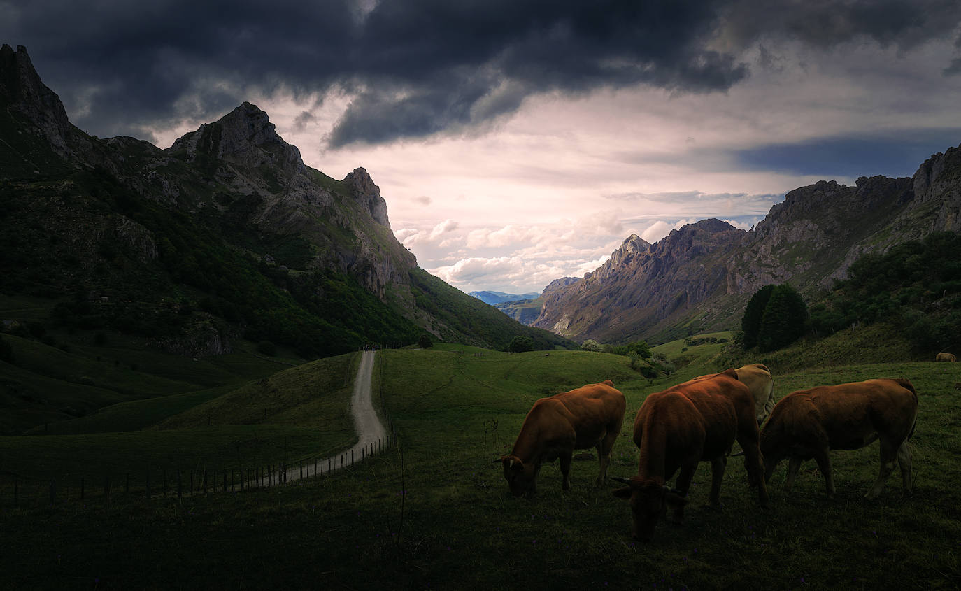 Estas cien imágenes son una selección de las fotografías captadas por los asturianos a lo largo de este año y que optaron a formar parte del calendario 'Escenas de Asturias', el concurso convocado por EL COMERCIO con el patrocinio del grupo El Gaitero. 
