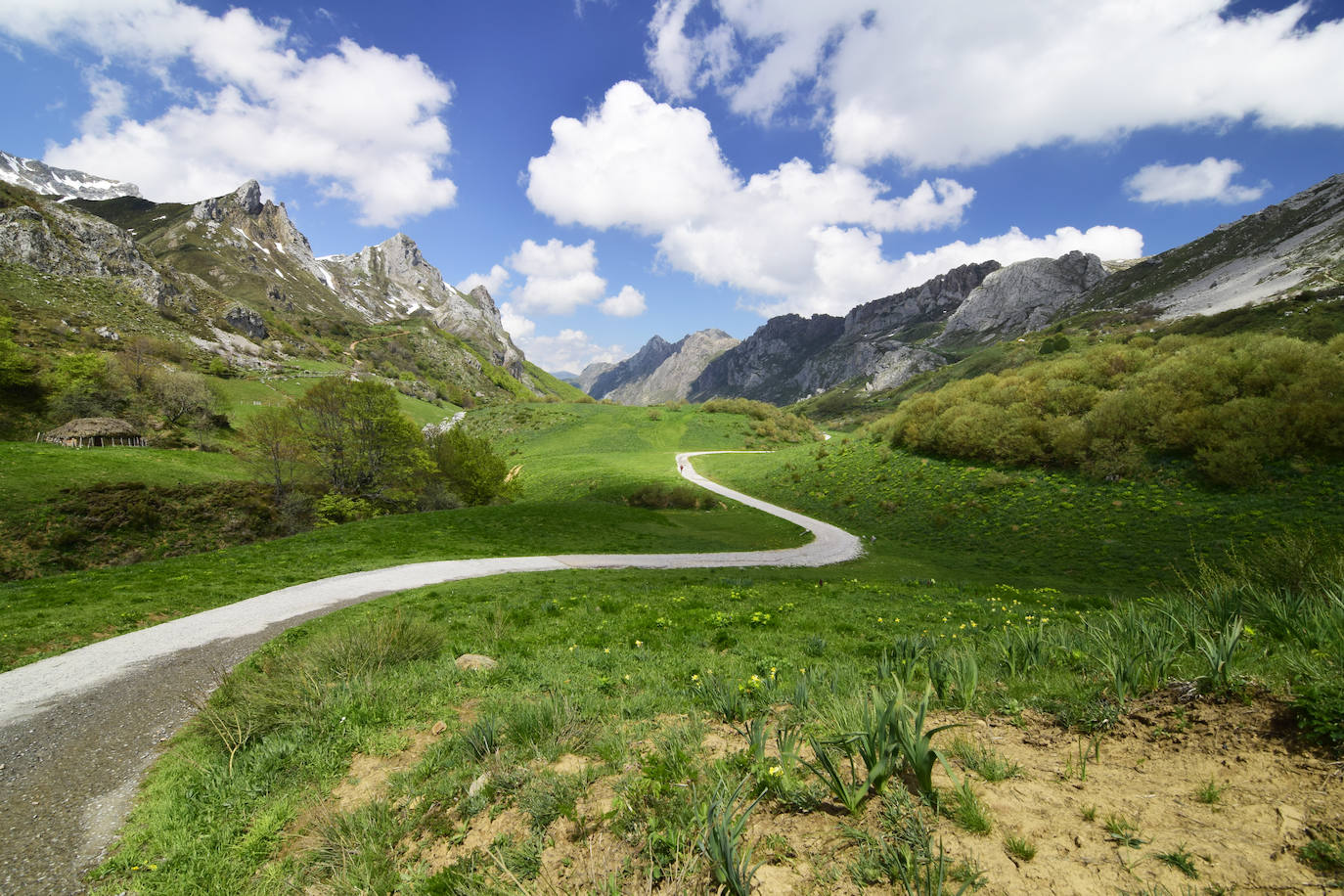 Estas cien imágenes son una selección de las fotografías captadas por los asturianos a lo largo de este año y que optaron a formar parte del calendario 'Escenas de Asturias', el concurso convocado por EL COMERCIO con el patrocinio del grupo El Gaitero. 