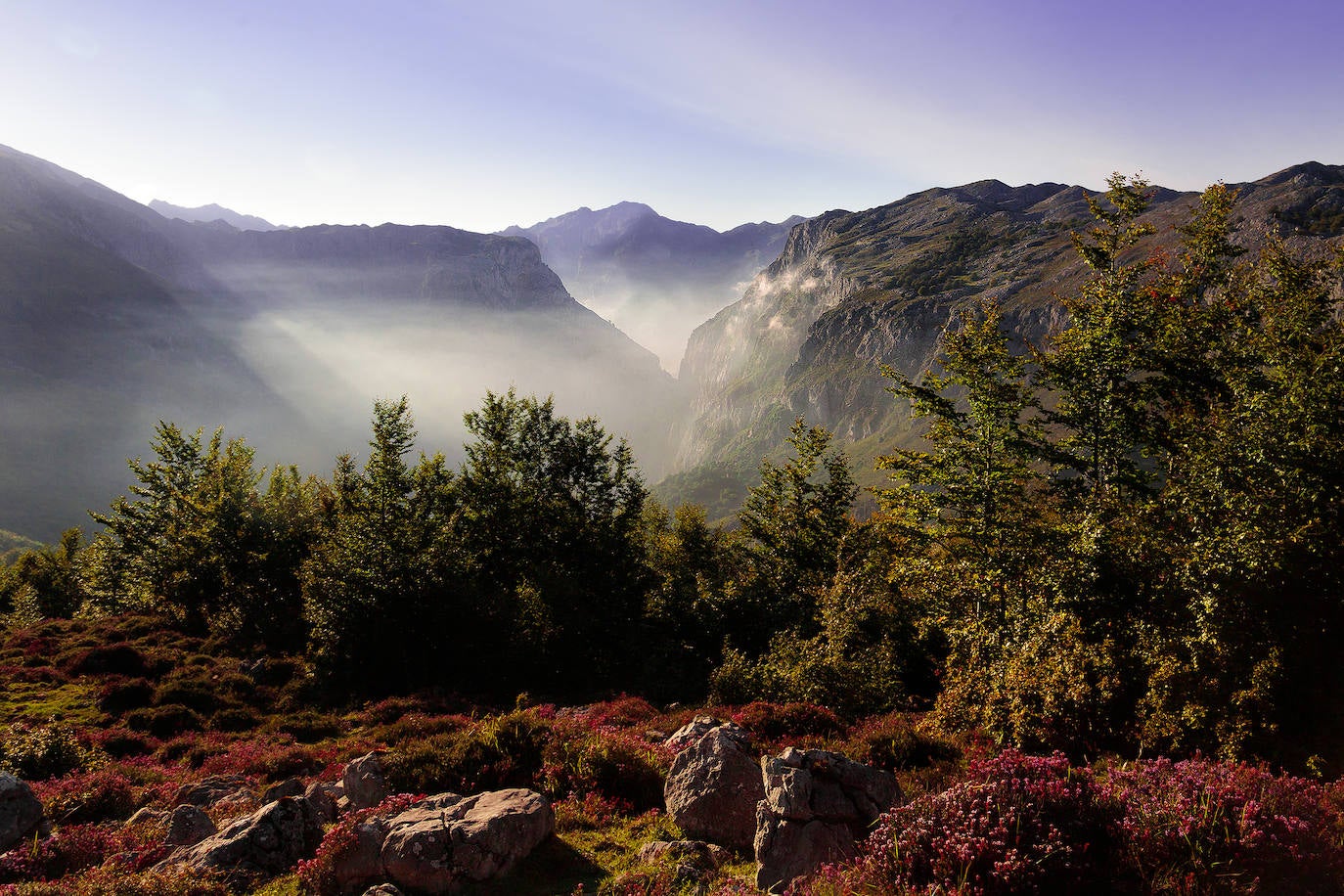 Estas cien imágenes son una selección de las fotografías captadas por los asturianos a lo largo de este año y que optaron a formar parte del calendario 'Escenas de Asturias', el concurso convocado por EL COMERCIO con el patrocinio del grupo El Gaitero. 