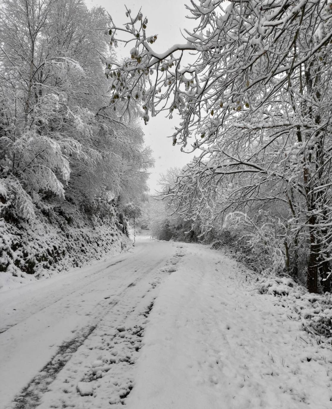 La región mantiene la alerta ante las fuertes rachas de viento y el riesgo de grandes nevadas y oleaje.