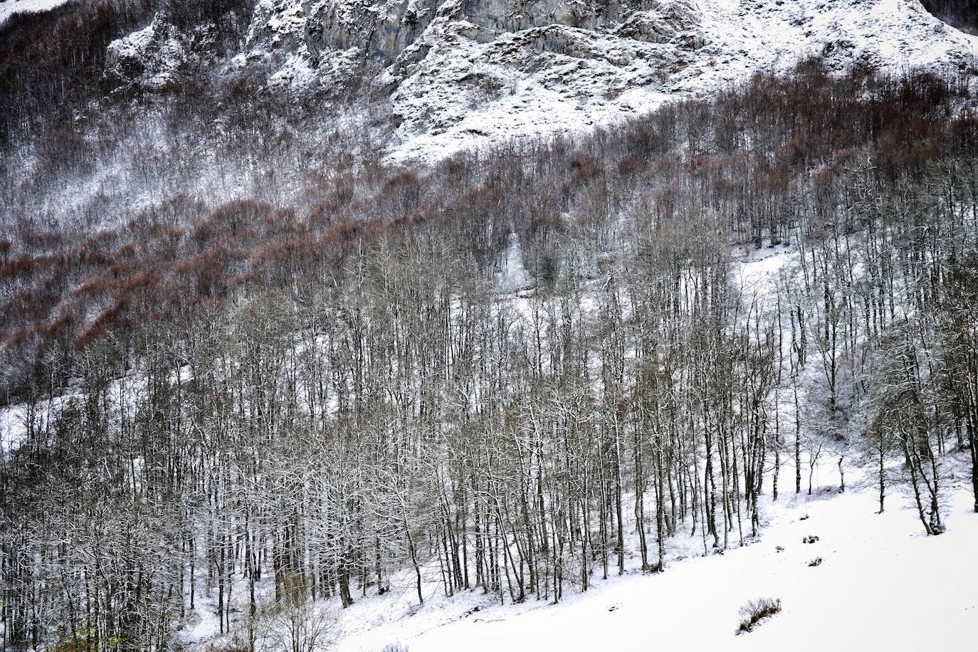 La región mantiene la alerta ante las fuertes rachas de viento y el riesgo de grandes nevadas y oleaje. Las rachas de viento alcanzaron los 131 kilómetros por hora en Leitariegos, y la boya del puerto de Gijón registró una ola de 8,43 metros