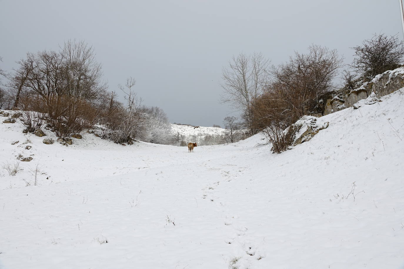 La región mantiene la alerta ante las fuertes rachas de viento y el riesgo de grandes nevadas y oleaje.