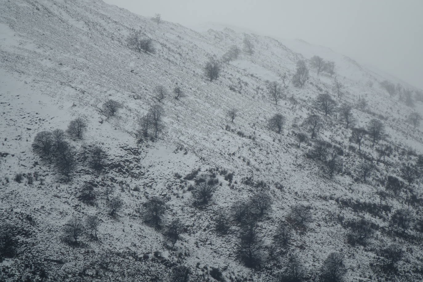 Copiosas nevadas, fuertes rachas de viento y oleaje en la primera borrasca invernal