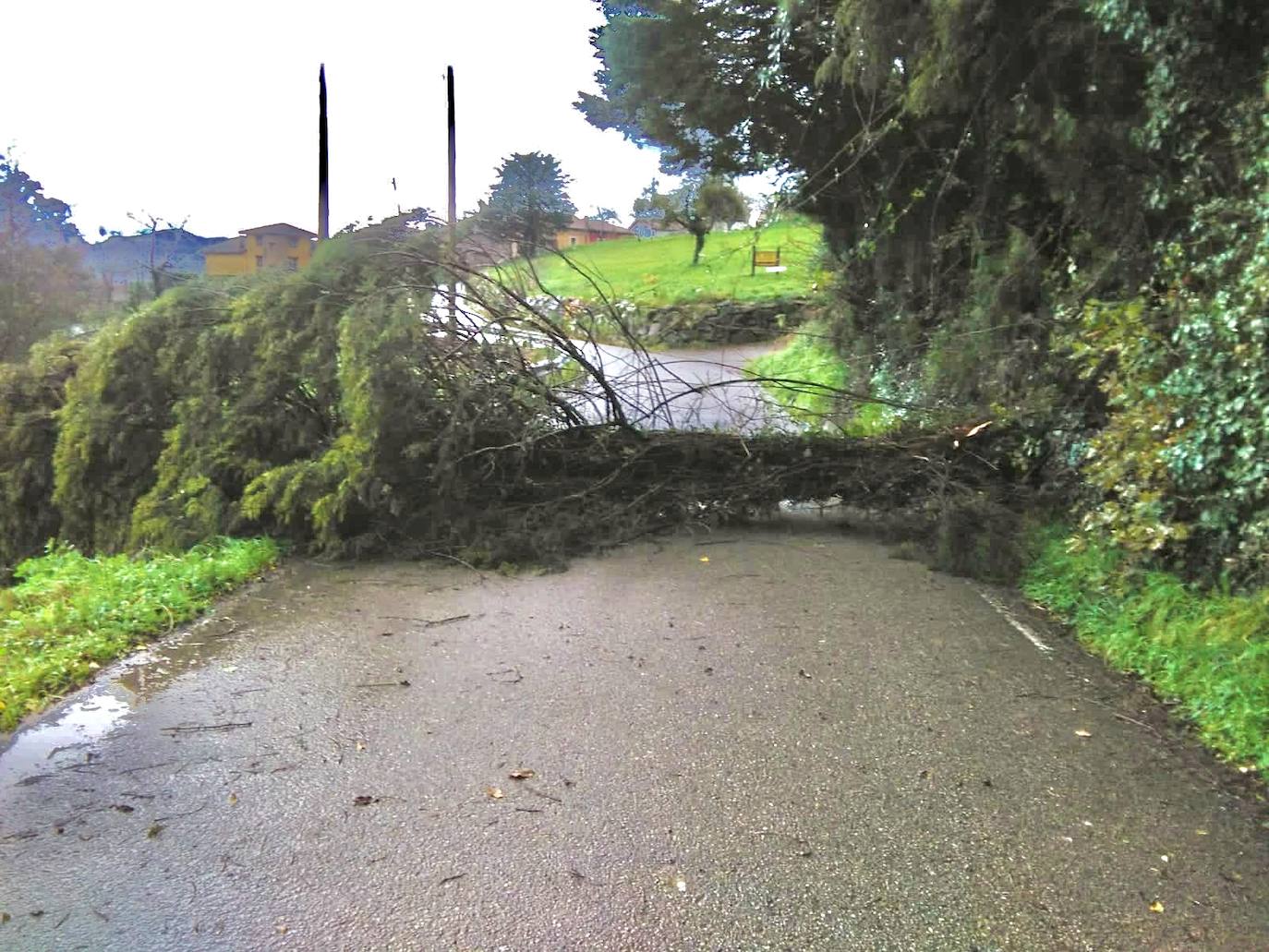 El temporal de lluvia, nieve, viento y olas ha seguido presente este lunes en el Principado