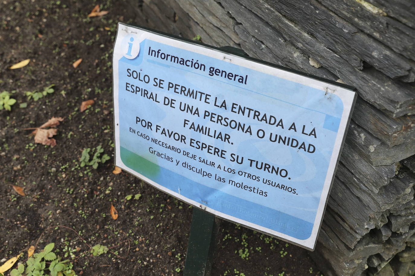 El Jardín Botánico Atlántico de Gijón reabre sus puertas a partir de este viernes, después de varias semanas de cierre obligatorio a causa de la pandemia, y los trabajadores de las instalaciones han dado los últimos retoques para recibir a los primeros visitantes. El horario de apertura será el habitual, de 10 a 18 horas, aunque los lunes permanecerá cerrado. No obstante, y con motivo de la llegada de la Navidad, del 18 de este mes al 10 de enero habrá jornadas de puertas abiertas con programación y el Belén Monumental. El Botánico estará por ello abierto todos esos días. 