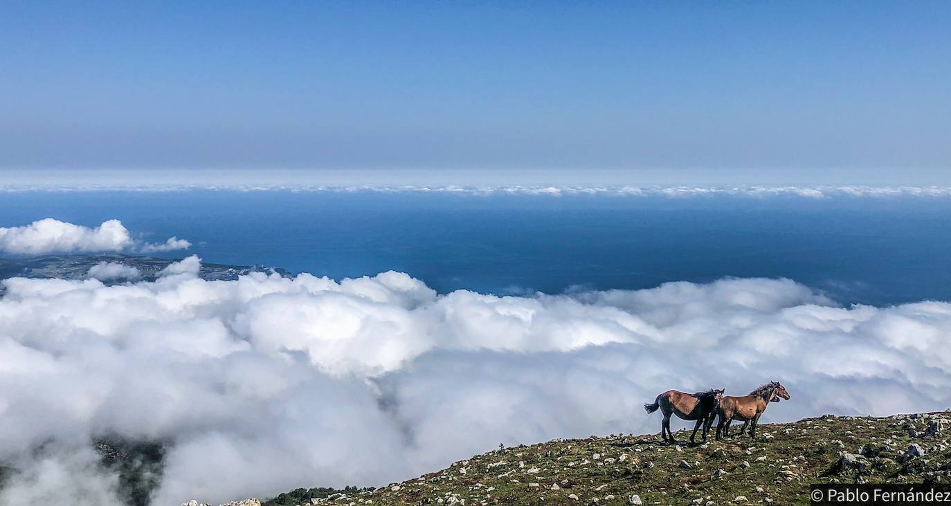 El paisaje de Asturias nos deja espectaculares estampas al atardecer. Son auténticas imagenes de postal que muestran la belleza y el colorido de la región.