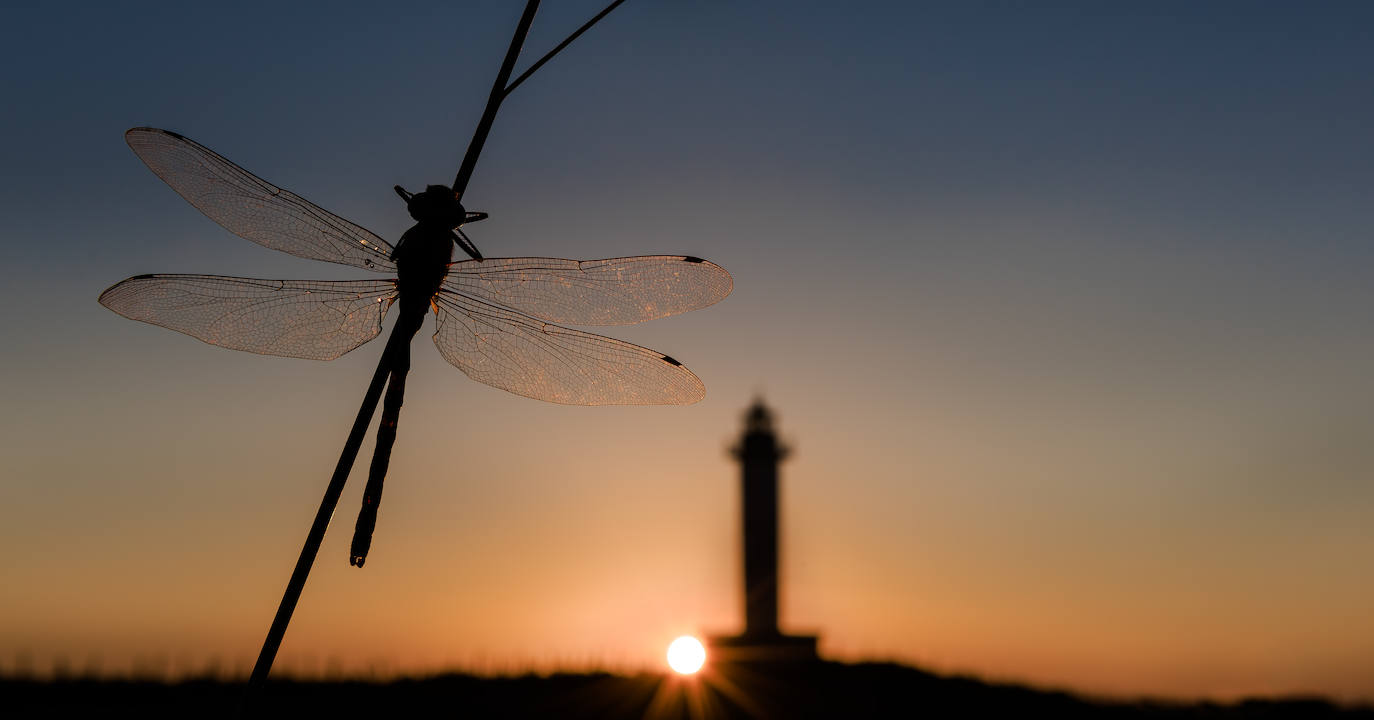 El paisaje de Asturias nos deja espectaculares estampas al atardecer. Son auténticas imagenes de postal que muestran la belleza y el colorido de la región.