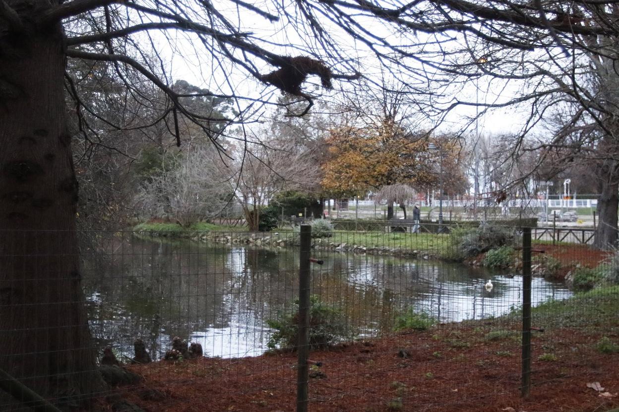 Estanque del parque de Isabel la Católica que será vaciado. 