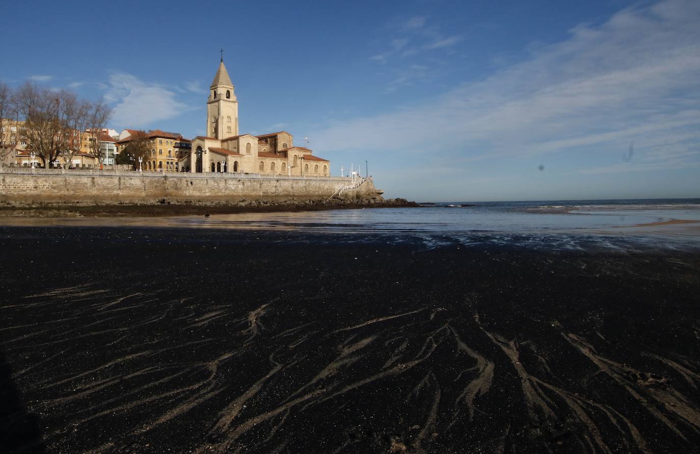 La playa de San Lorenzo de Gijón ha amanecido cubierta de carbón este jueves, casualmente coincidiendo con el día en el que se presentaban las conclusiones del estudio del laboratorio de Petrografía del Incar. Esta investigación atribuye a El Musel las manchas en el arenal gijonés. Apunta a la carga y descarga de carbón en los muelles y descarta que el material llegue por el viento. 