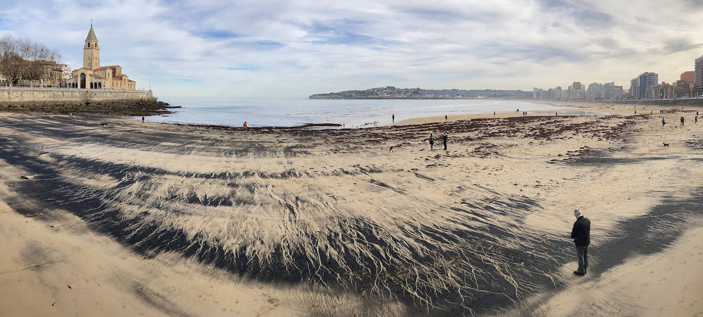 El carbón y el ocle han vuelto a aparecer estos días en la playa de San Lorenzo a causa de las mareas. Ha coincidido con la presentación de las conclusiones del estudio del laboratorio de Petrografía del Incar. Esta investigación atribuye a El Musel las manchas en el arenal gijonés. Apunta a la carga y descarga de carbón en los muelles y descarta que el material llegue por el viento.