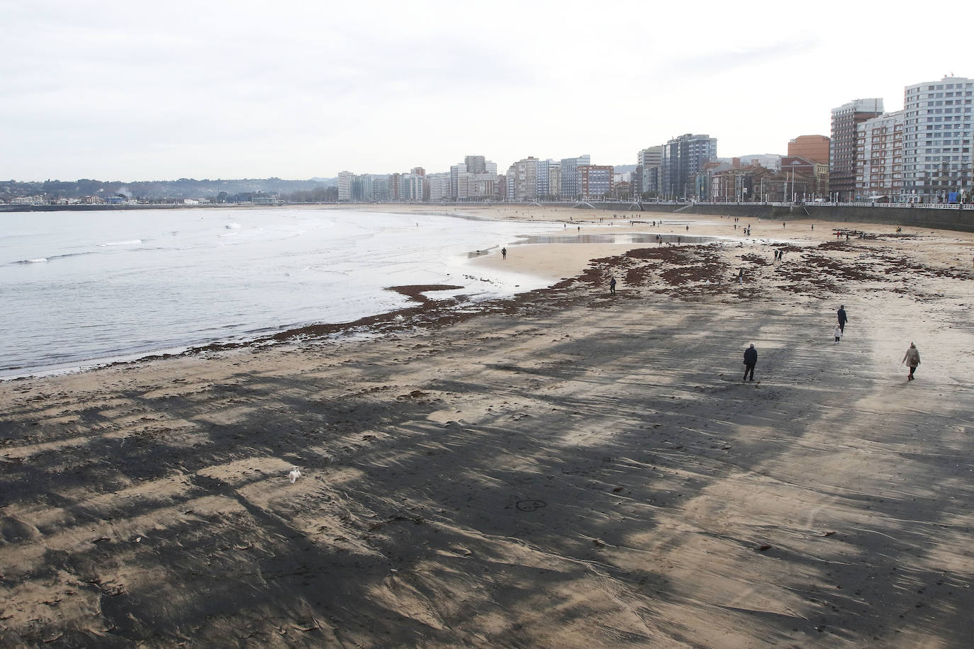 El carbón y el ocle han vuelto a aparecer estos días en la playa de San Lorenzo a causa de las mareas. Ha coincidido con la presentación de las conclusiones del estudio del laboratorio de Petrografía del Incar. Esta investigación atribuye a El Musel las manchas en el arenal gijonés. Apunta a la carga y descarga de carbón en los muelles y descarta que el material llegue por el viento.