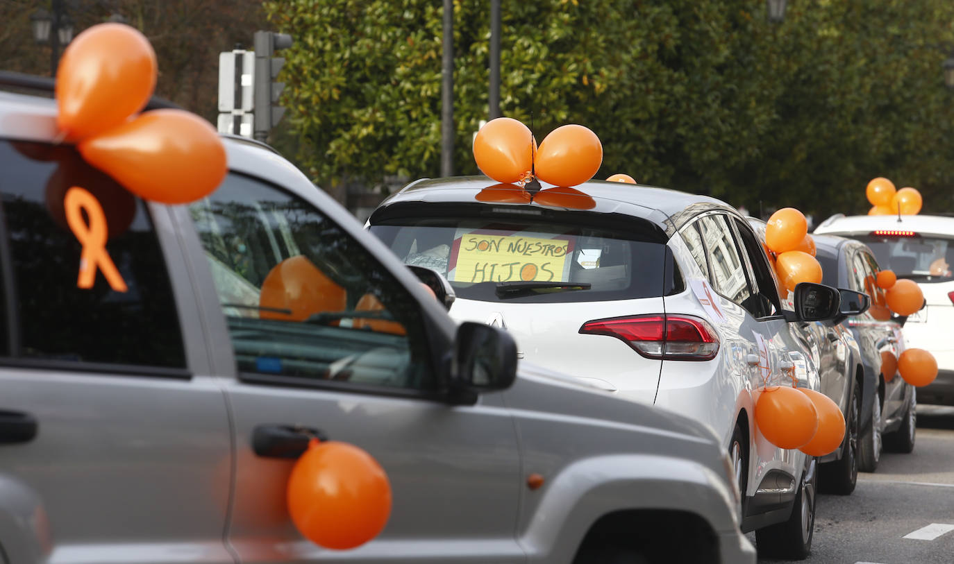 Las manifestaciones de coches recorrieron las calles de Oviedo y Gijón.